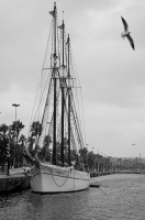 /album/barca/image007-jpg1/