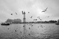 /album/barca/image008-jpg1/