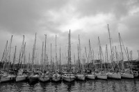 /album/barca/image009-jpg1/