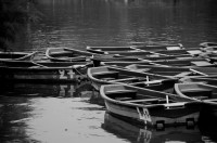 /album/barca/image019-jpg1/