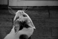 /album/digital-2/dsc4180-jpg/