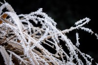 /album/digital-2/dsc6469-jpg/