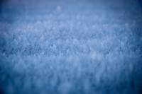 /album/digital-2/dsc6477-jpg/