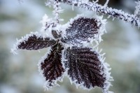 /album/digital-2/dsc6483-jpg/